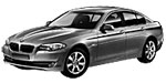 BMW F10 B206A Fault Code